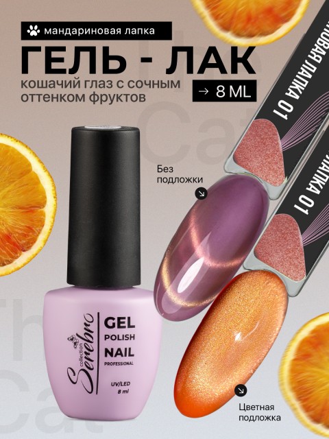 главный 3 лапка