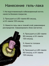 OZON_2589164047_1eec8d42b31d