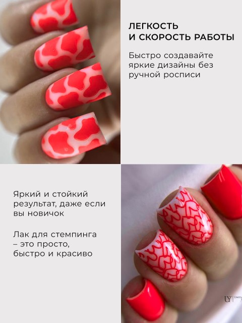 OZON_1724985830_32394bfc4b6a