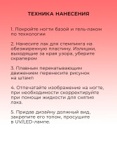 OZON_1724985830_554e81639a20