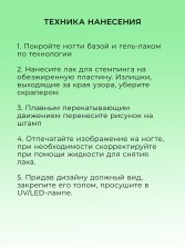 OZON_1724985808_64a6b688d7d0