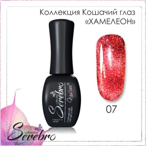 хам07