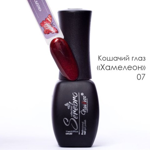 хамелеон 07