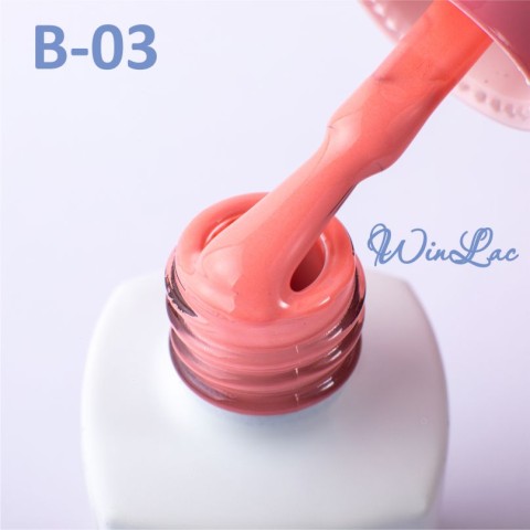 В3