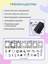 Blesk, Пластина для стемпинга №064, 6*12 см