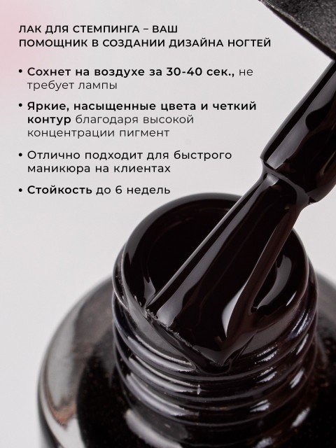 OZON_1724985819_f195592f5129