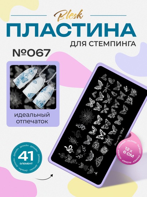 Blesk, Пластина для стемпинга №067, 6*12 см