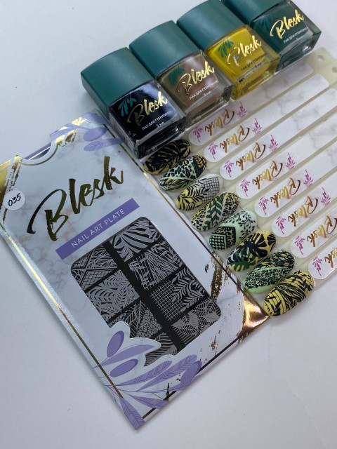 Blesk, Пластина для стемпинга №035, 6*12 см