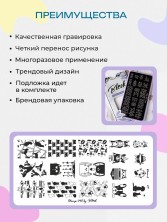 Blesk, Пластина для стемпинга №045, 6*12 см