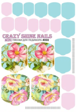Crazy Shine Nails Плёнка для педикюра № 098
