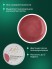 HIT gel, Моделирующий холодный гель №12, 15 мл