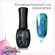 хамелеон 01
