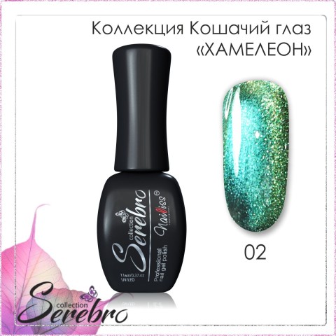 хамелеон 02