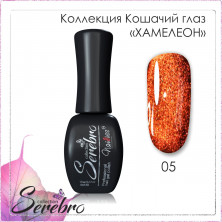 хамелеон 05